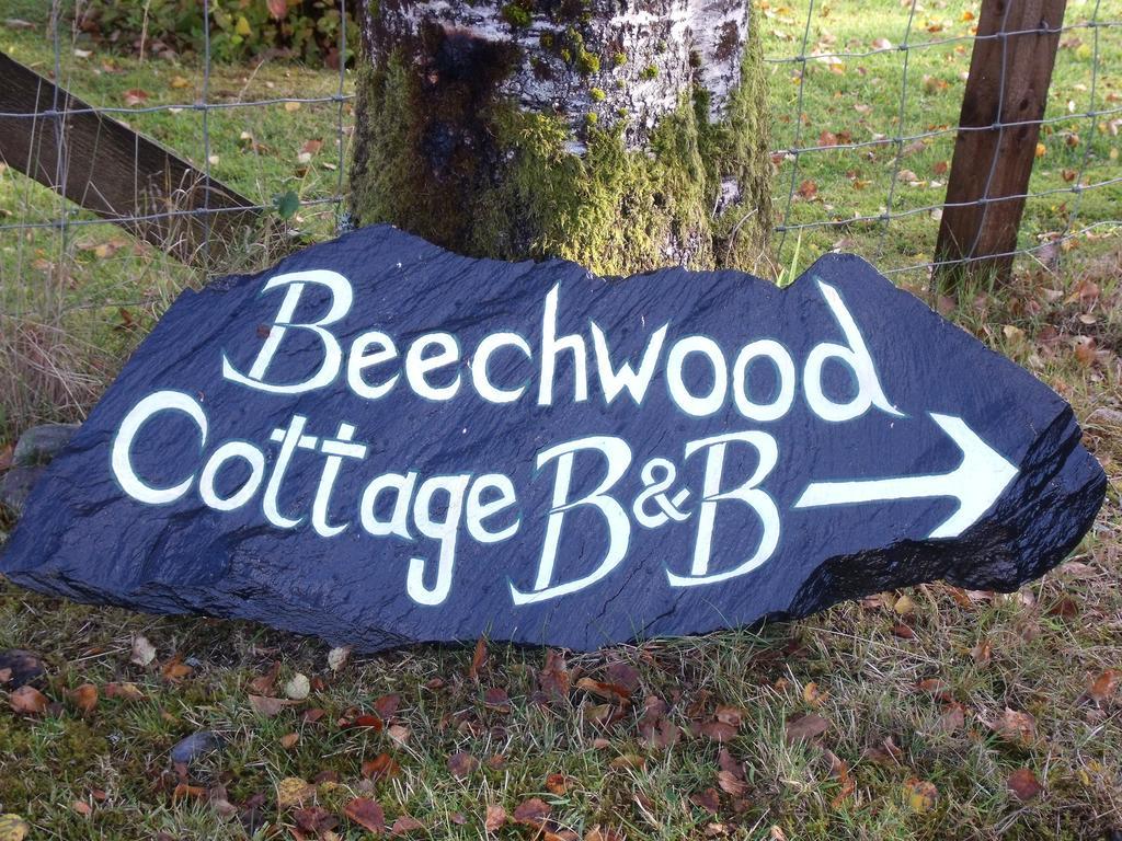 Beechwood Cottage B&B Glencoe Buitenkant foto