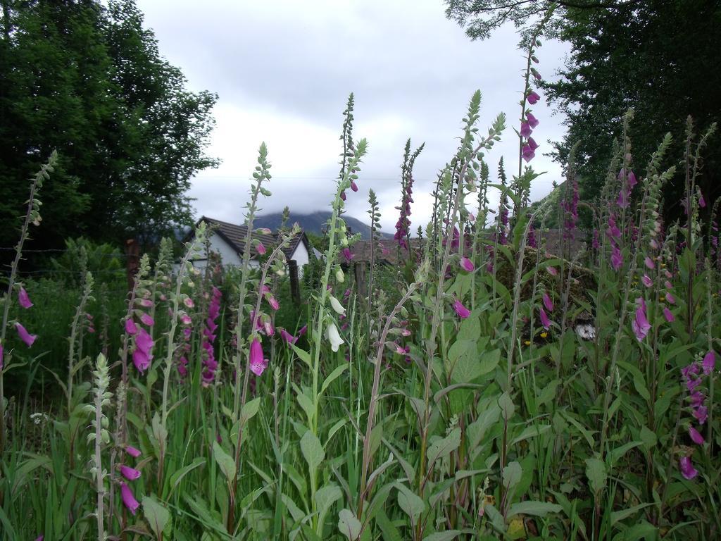 Beechwood Cottage B&B Glencoe Buitenkant foto