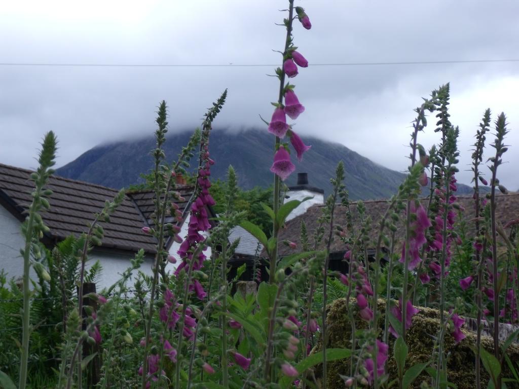 Beechwood Cottage B&B Glencoe Buitenkant foto