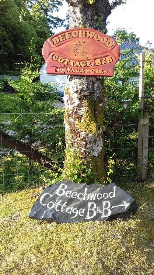 Beechwood Cottage B&B Glencoe Buitenkant foto